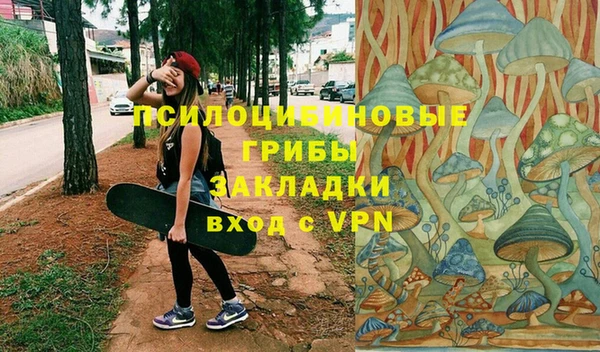 ГАЛЛЮЦИНОГЕННЫЕ ГРИБЫ Аркадак