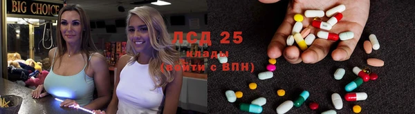 ГАЛЛЮЦИНОГЕННЫЕ ГРИБЫ Аркадак