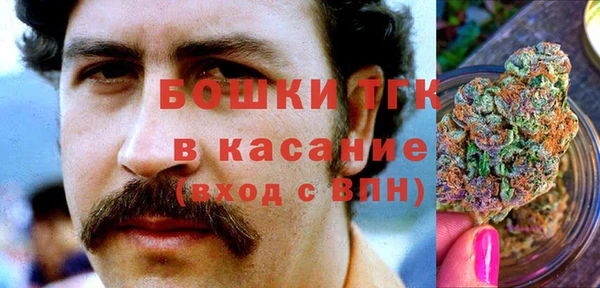 ГАЛЛЮЦИНОГЕННЫЕ ГРИБЫ Аркадак