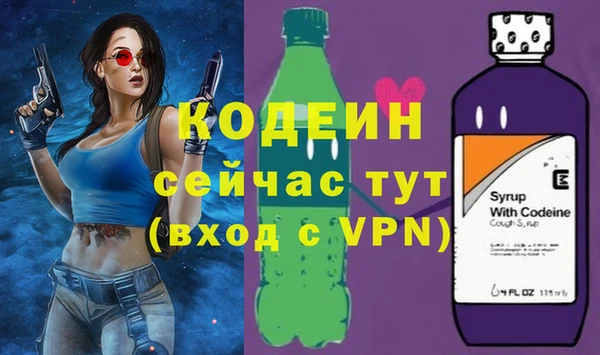 стаф Арсеньев