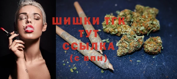 стаф Арсеньев