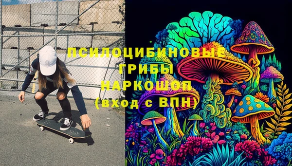 стаф Арсеньев